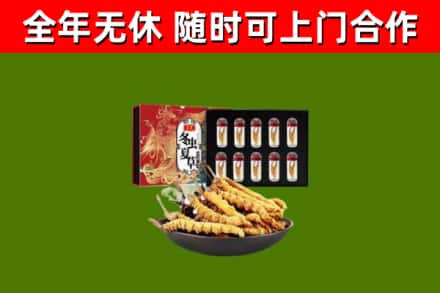 彭泽县回收冬虫夏草价格